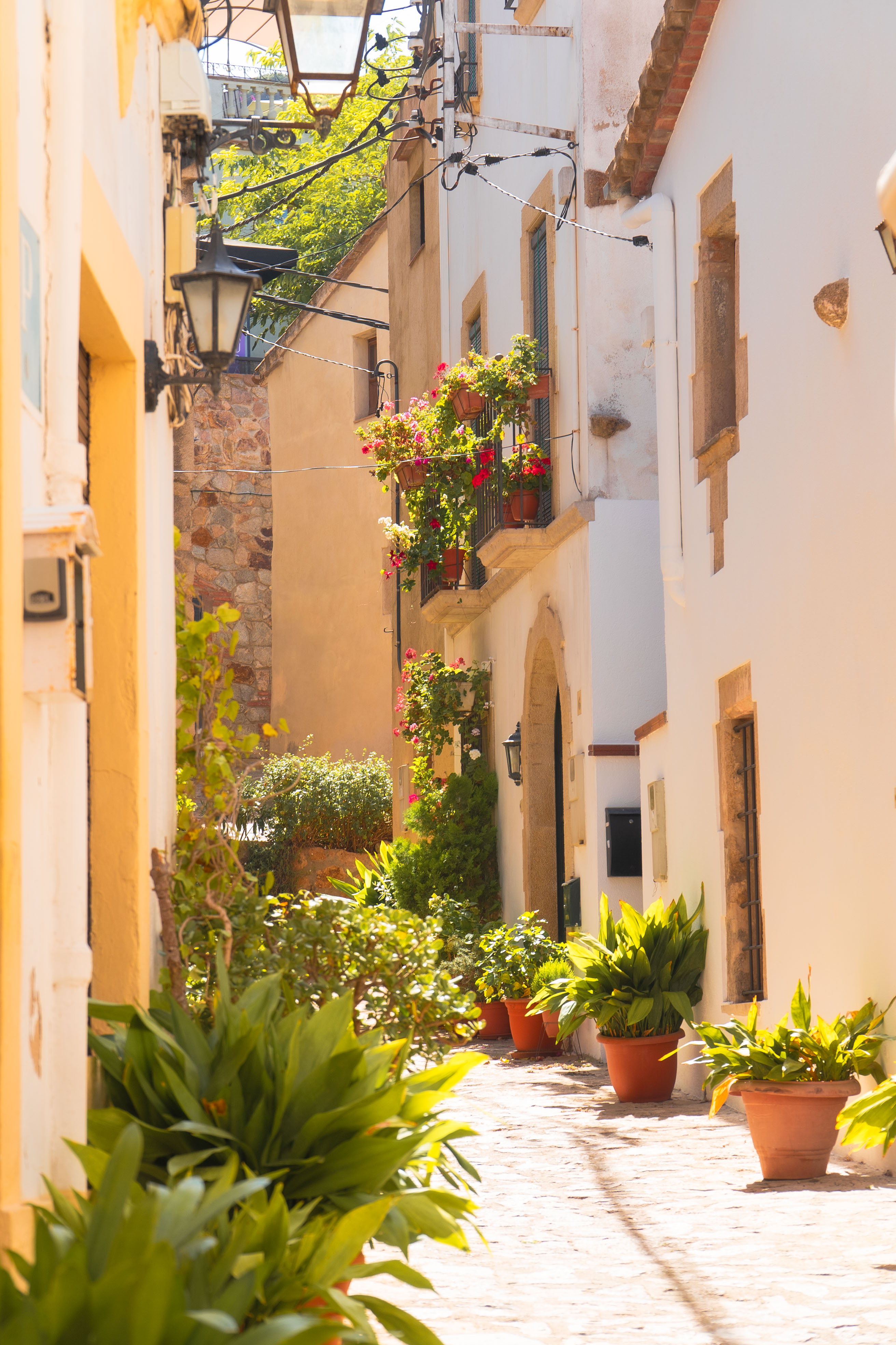 Tossa de mar
